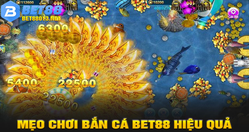 Mẹo Chơi Bắn Cá BET88 Hiệu Quả